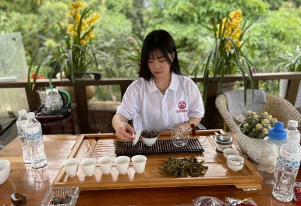 適合每日飲用的茶