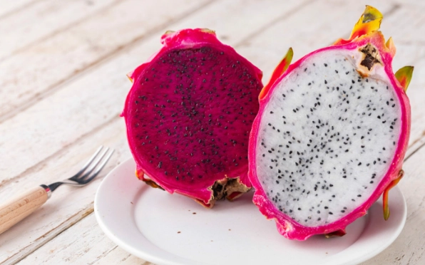 天竺鼠可以吃火龍果嗎