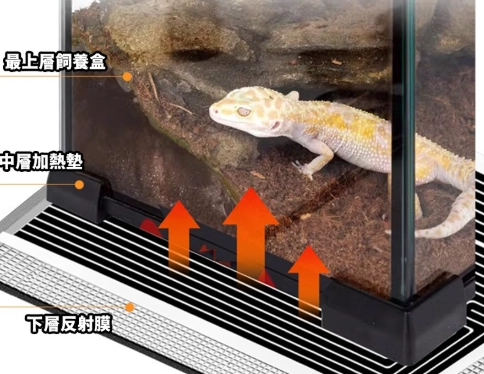 豹紋守宮加熱墊