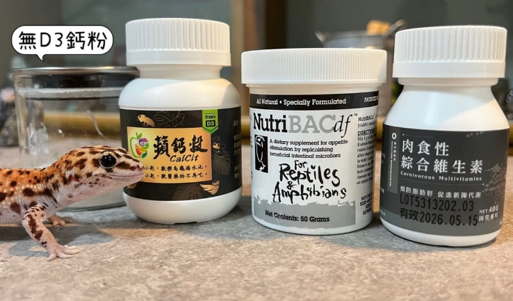 守宮補鈣方法 守宮補鈣方法