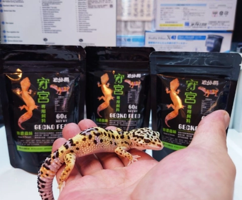 守宮吃什麼 守宮吃什麼