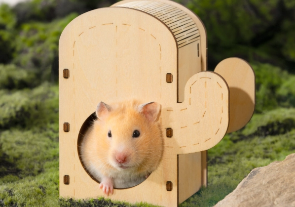 躲避屋解決方法