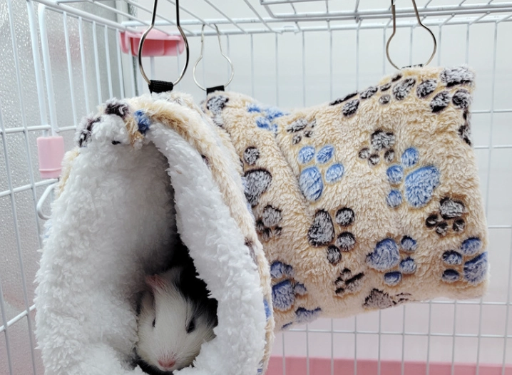 倉鼠冬天照顧 倉鼠冬天照顧