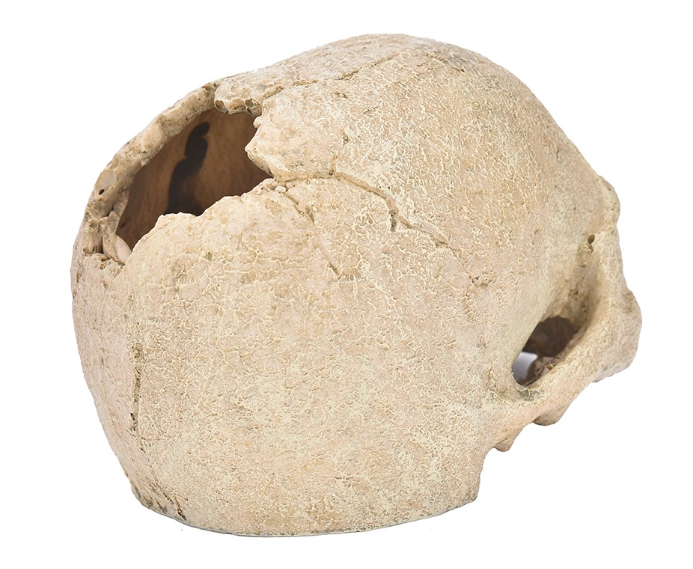 躲避屋解決方法