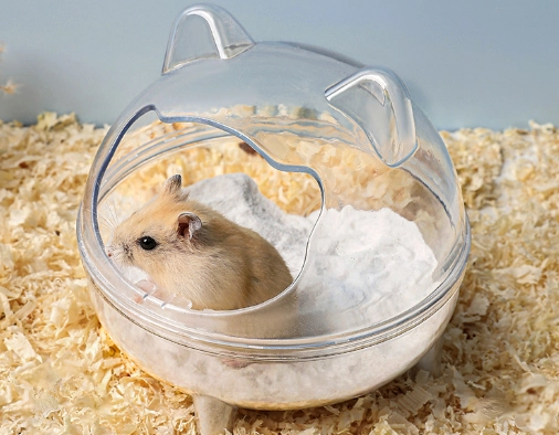 倉鼠浴砂更換頻率