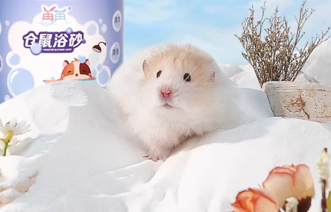 倉鼠浴砂更換頻率