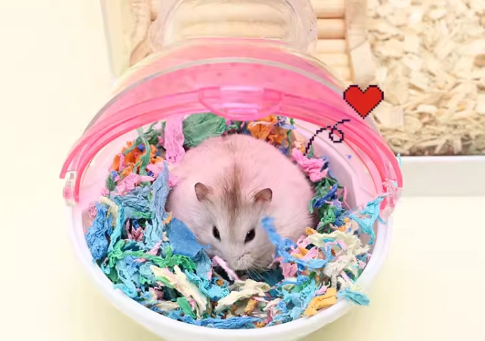 倉鼠浴砂更換頻率