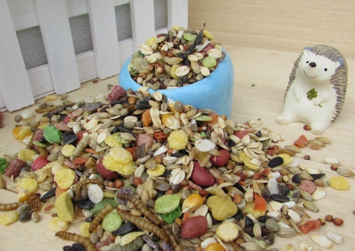 倉鼠飲食時間表