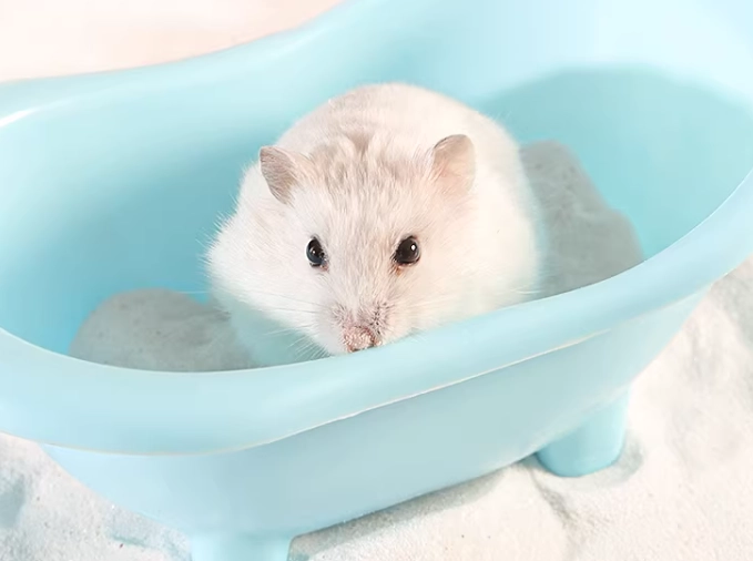 倉鼠浴砂清潔