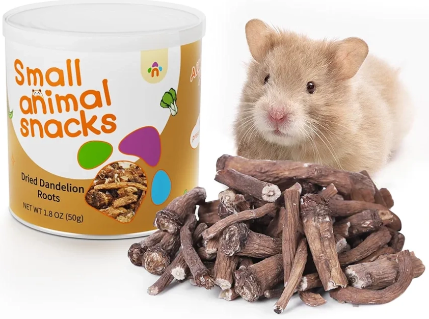 倉鼠可以吃什麼水果