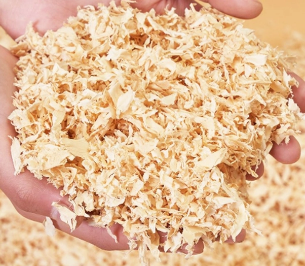 倉鼠墊材選擇 倉鼠墊材選擇