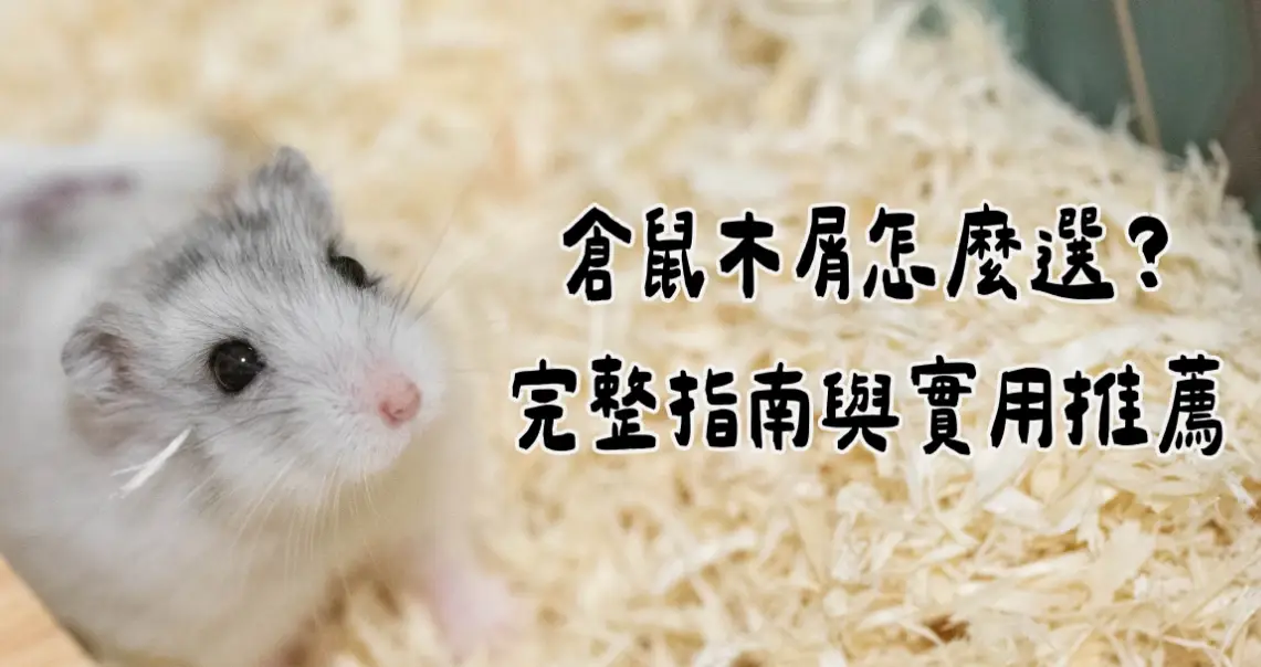 倉鼠木屑推薦全攻略：挑對墊材，守護愛寵呼吸道健康