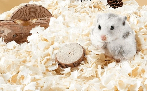 木屑粉塵過敏 木屑粉塵過敏