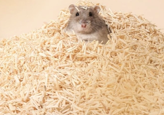 木屑粉塵過敏 木屑粉塵過敏