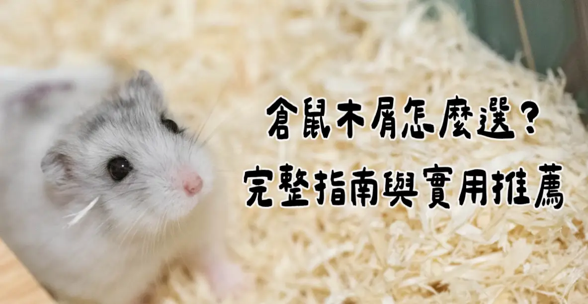 倉鼠木屑更換頻率 倉鼠木屑更換頻率