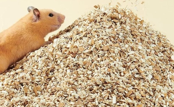 倉鼠墊料分層
