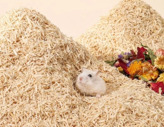倉鼠墊材推薦 倉鼠墊材推薦