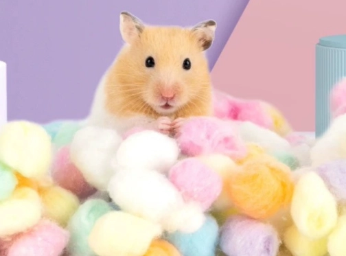 倉鼠墊材推薦 倉鼠墊材推薦