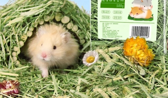 倉鼠墊材厚度 倉鼠墊材厚度