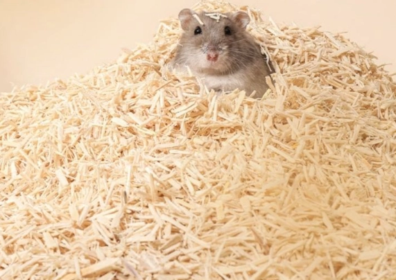 倉鼠墊材厚度 倉鼠墊材厚度