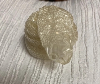 蛇蜕皮過程 蛇蜕皮過程