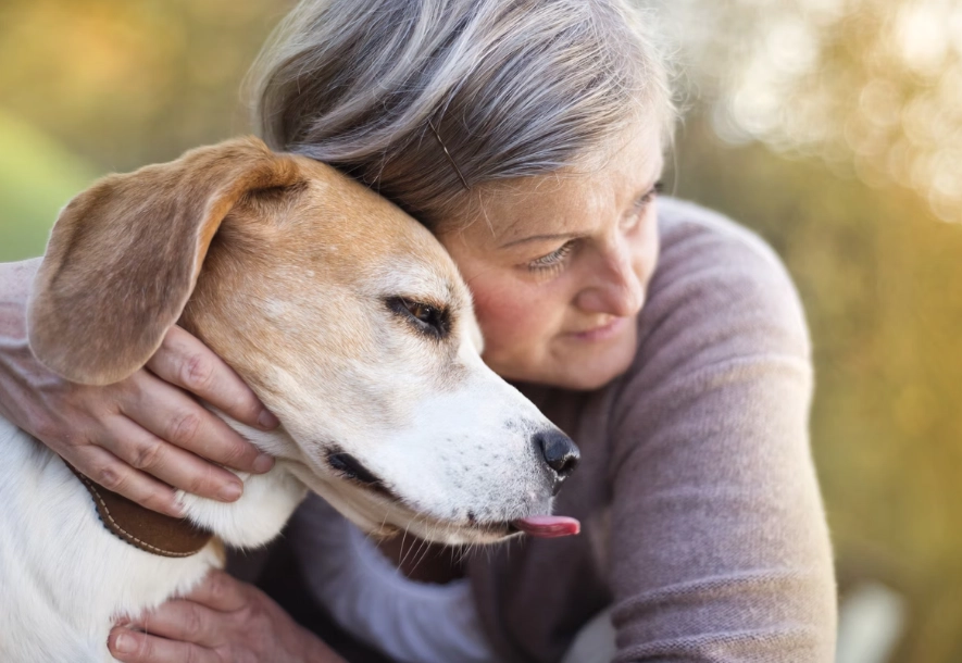 狗狗同伴死亡行為