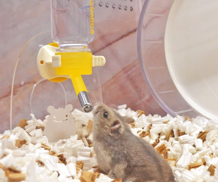 倉鼠飼養注意事項