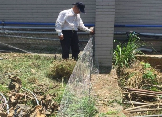 居家防蛇