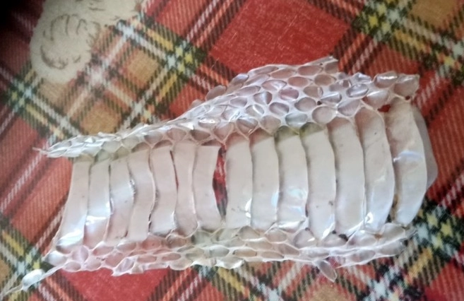蛇脫皮