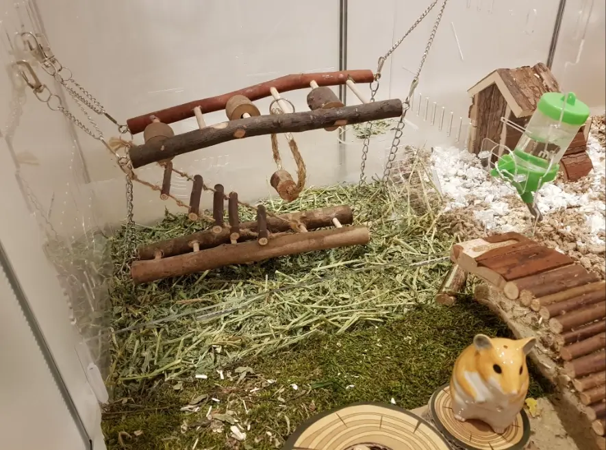 倉鼠跑輪