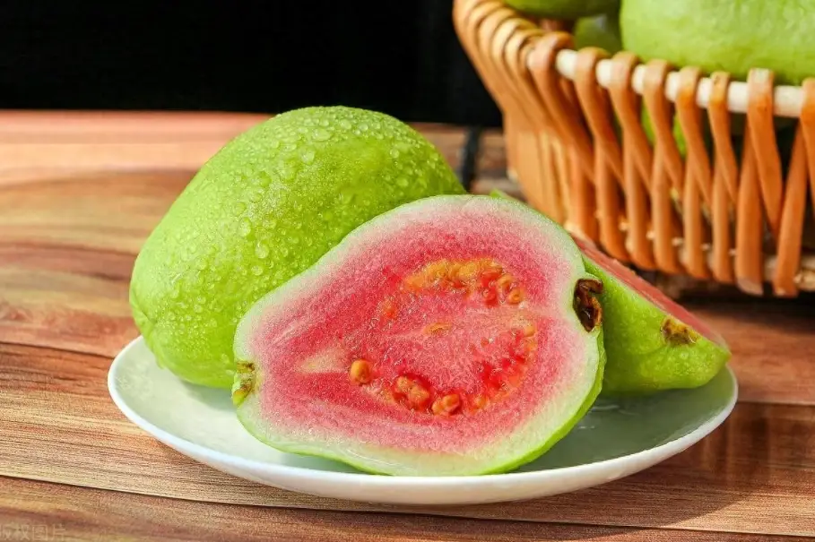 芭樂營養