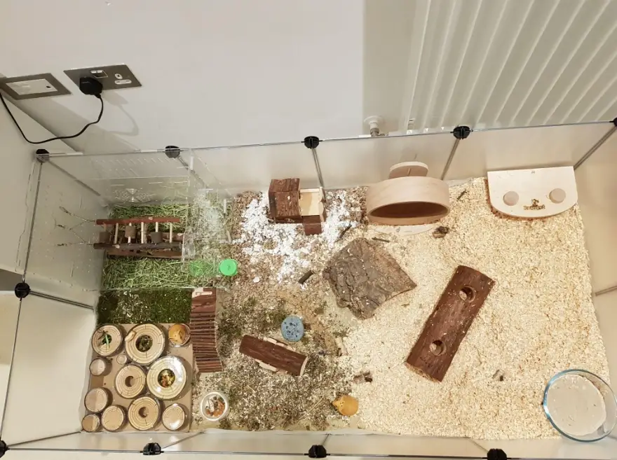 倉鼠籠佈置