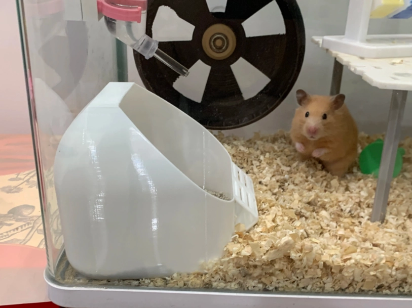 鼠沙推薦
