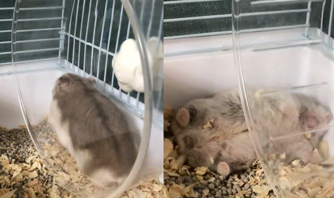 靜音滾輪