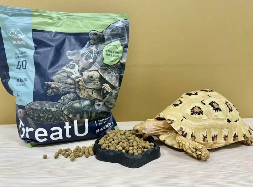 陸龜飼養 陸龜飼養