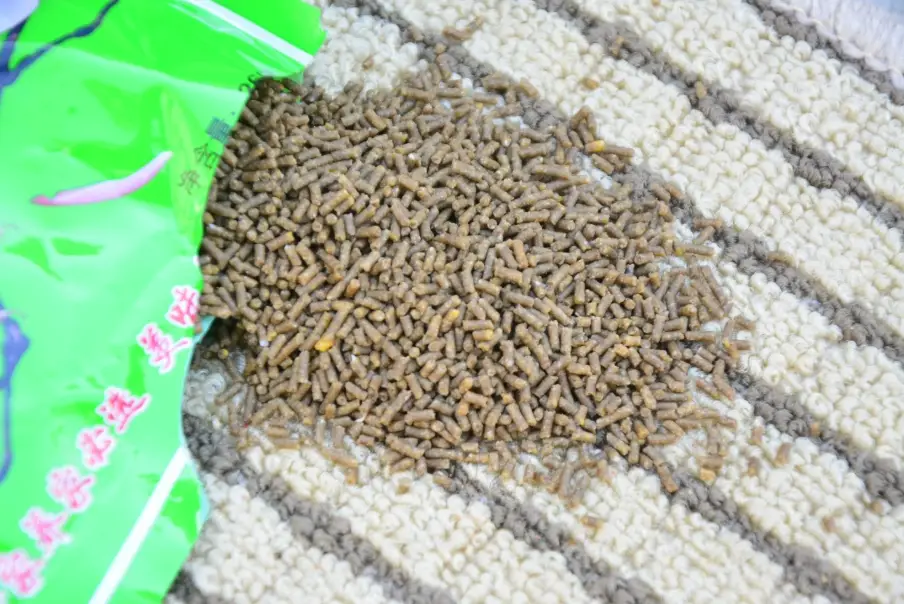 鳥飼料推薦