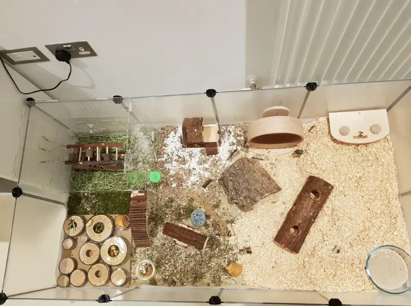 倉鼠籠佈置 倉鼠籠佈置