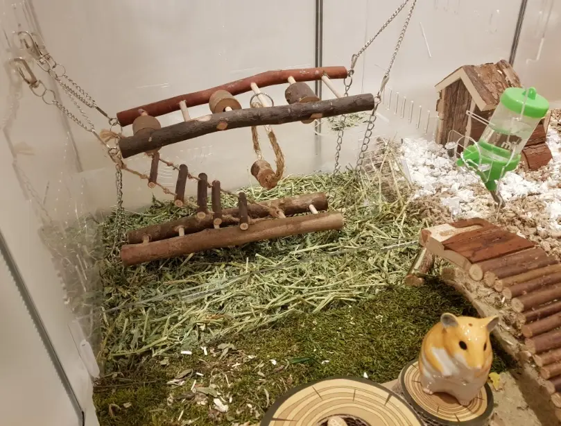 倉鼠火化費用