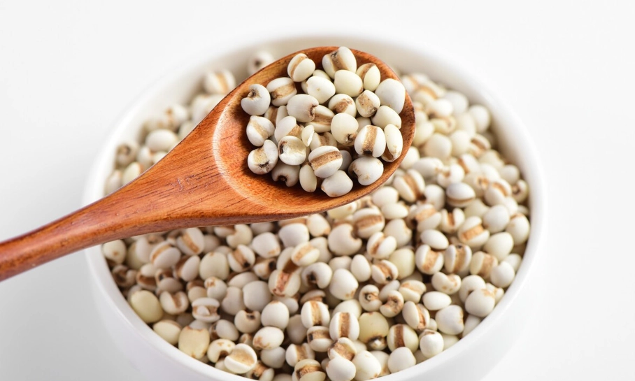 薏仁漿怎麼喝 薏仁漿怎麼喝