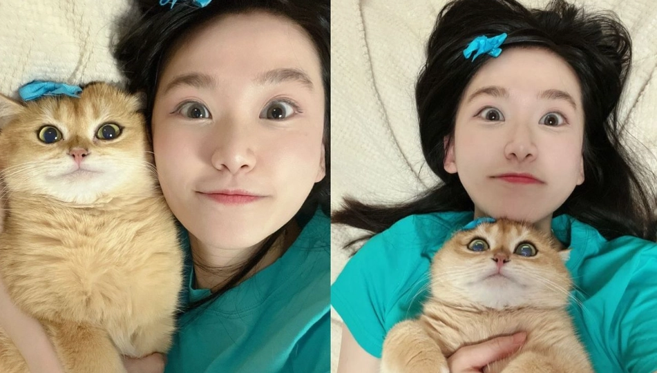 貓咪認主人嗎 貓咪認主人嗎