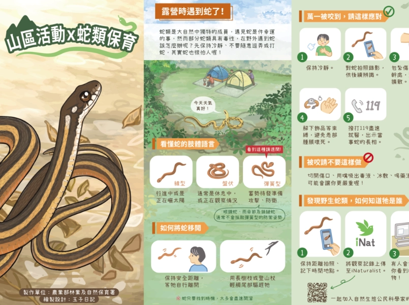 蛇類防治 蛇類防治