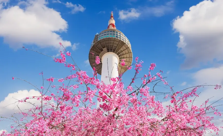 韓國自由行 韓國自由行