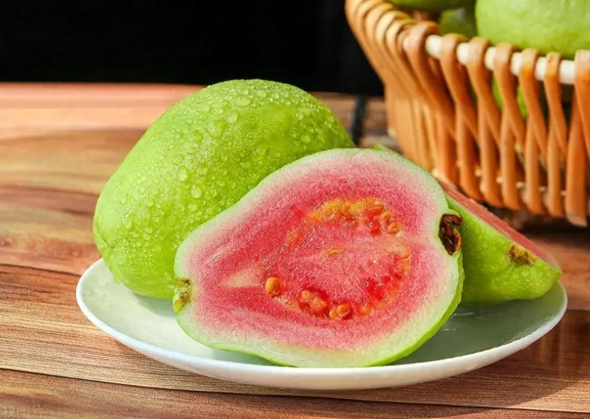 腸胃炎可以吃芭樂嗎