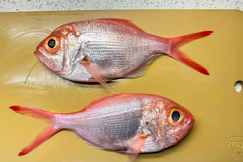 紅花魚料理