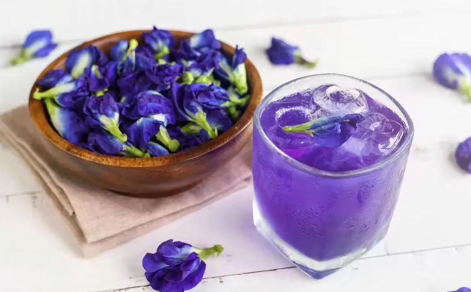 蝶豆花禁忌