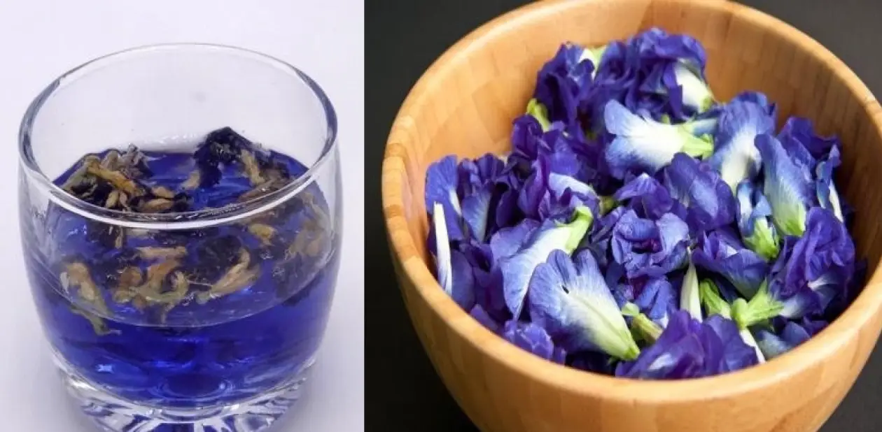 蝶豆花功效