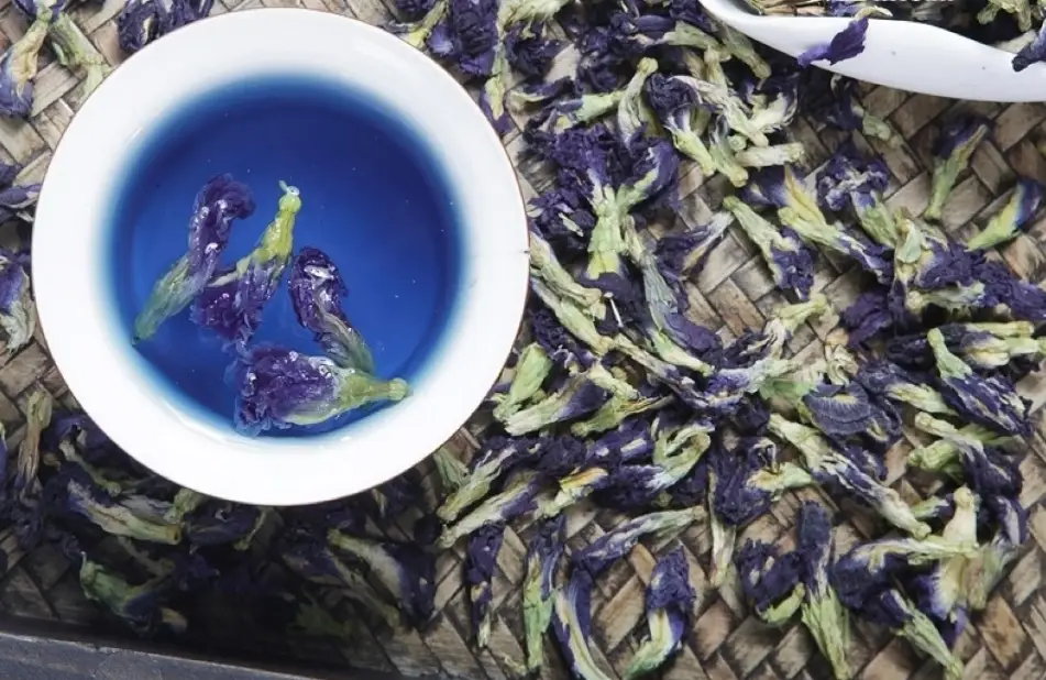 蝶豆花泡法