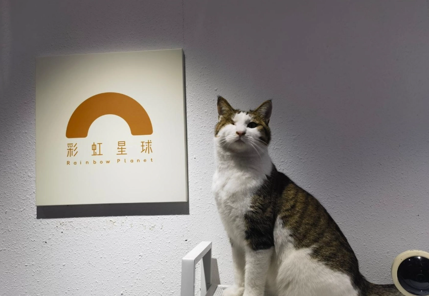 寵物後事處理