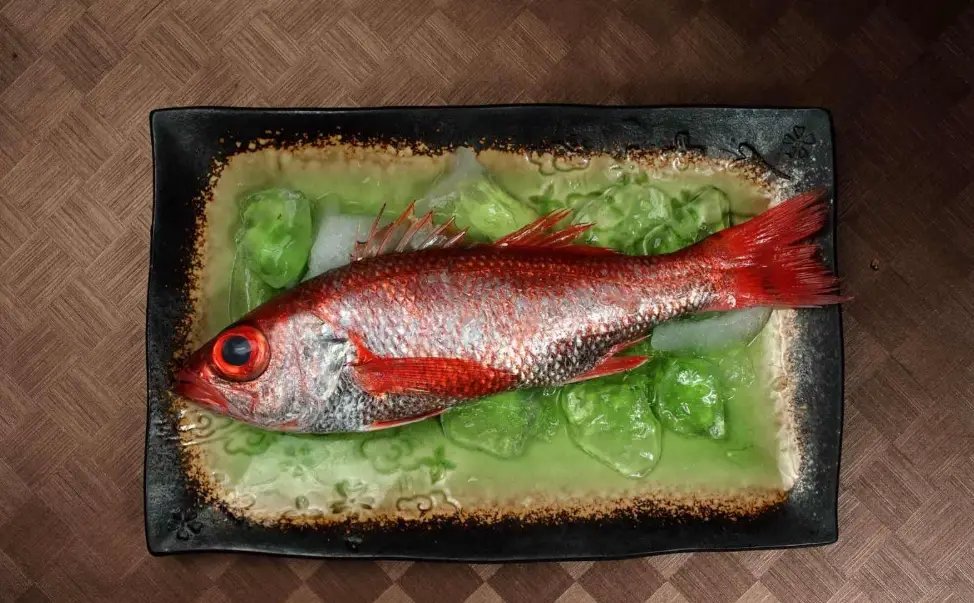 紅喉魚清蒸