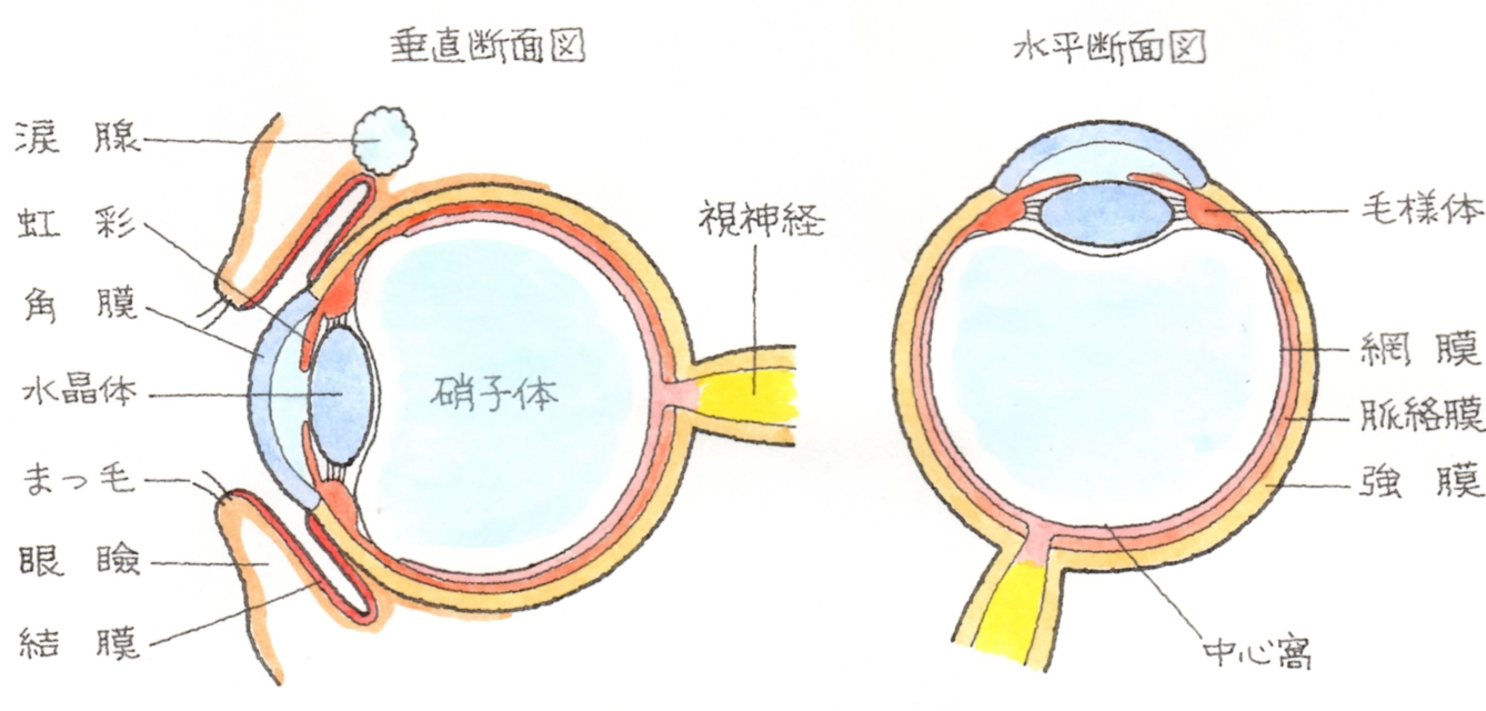 虹彩炎症狀